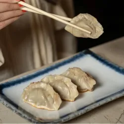 Gyozas de la casa