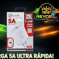 Cargador 5A