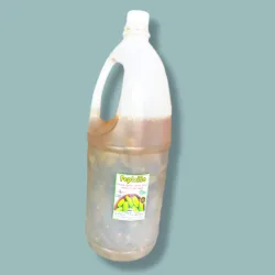 Pepinillo encurtido 🥒 (2 L)