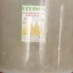 Pepinillo encurtido (4 L)