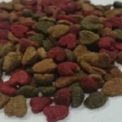 pienso FELINE por libras