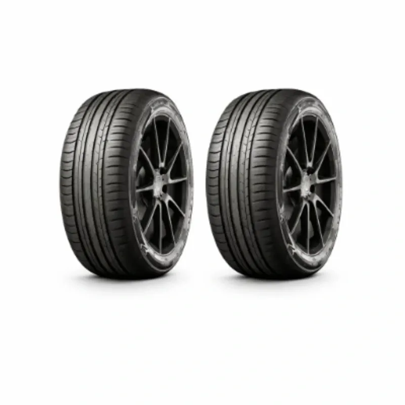 PAREJA DE NEUMÁTICOS 225/65R16C 112/110R EV516 EG