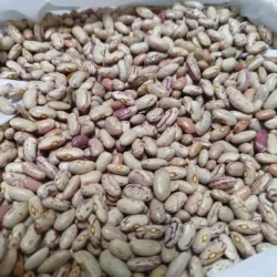 Bolsa de frijoles colorados
