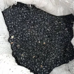 Bolsas de frijoles negros