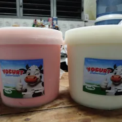 Cubetas de yogurt Fresko 4 LTS(DISPONIBLES SOLO EN CUMANAYAGUA)