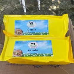 Queso Gouda holandés