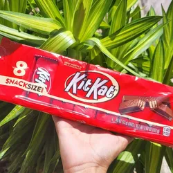 KitKat