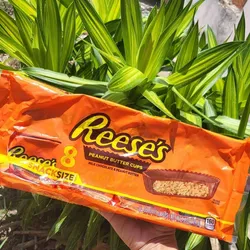 Reese’s 
