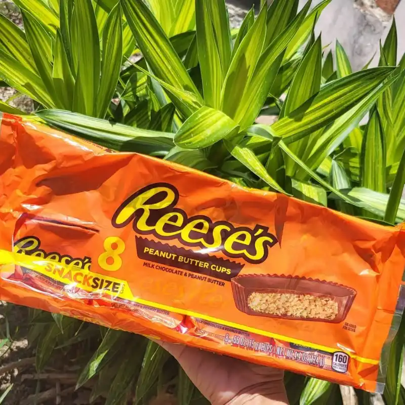Reese’s 