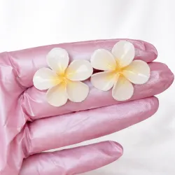 Flor Plumeria