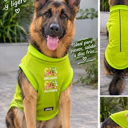 Camiseta para perro grande 🐾
