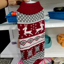 Chaleco navideño 🐾