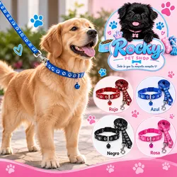 Collar con su Correa🐾