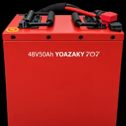Batería de Motor y Triciclo Eléctrico 48 V/50 Ah