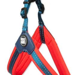 Correas Para Perros
