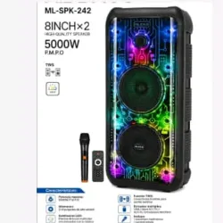 Karaoke Speaker