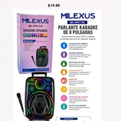 Parlante karaoke 8"