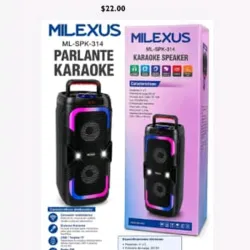 Parlante Karaoke