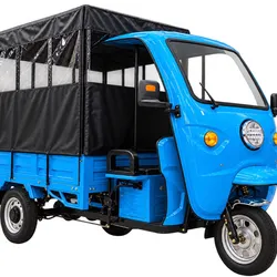 TRICICLO ELECTRICO