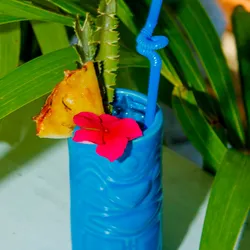 Aloha Sur 