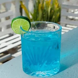 Blue Shark 