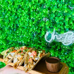 Tacos de pollo