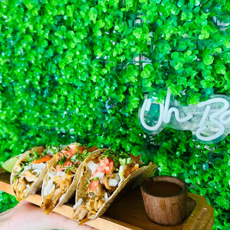 Tacos de pollo