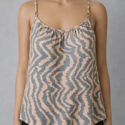 Zebra naranja