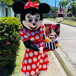 ✨Mini Mouse✨