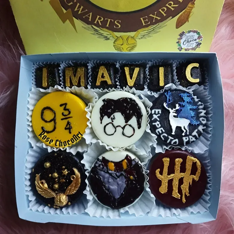 ⚡Nueva caja de alfajores Temática Harry Potter🪄