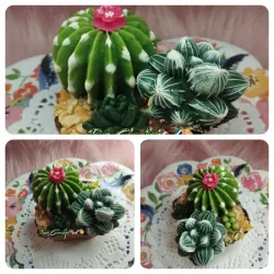 Suculentas de chocolate mixta