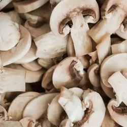 Champiñones 