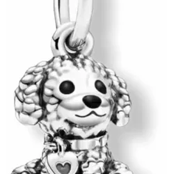 Charms 