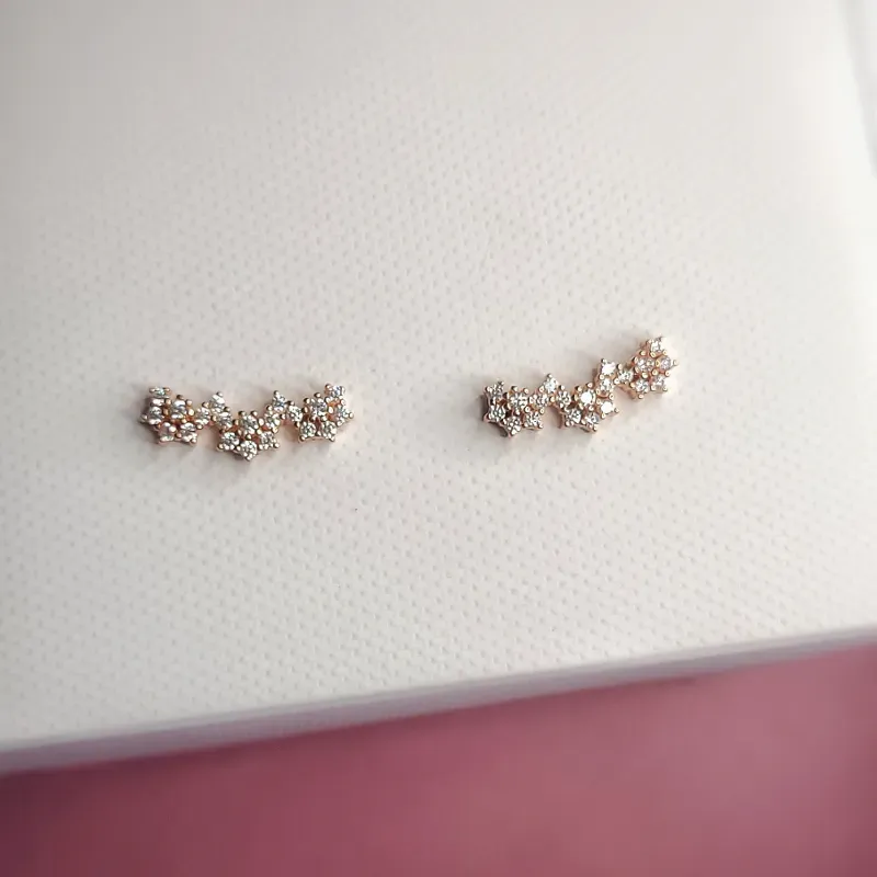 Aretes trepadores Anne