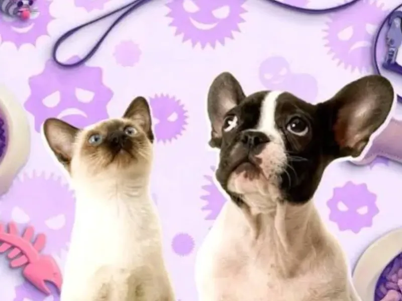 Productos para mascotas