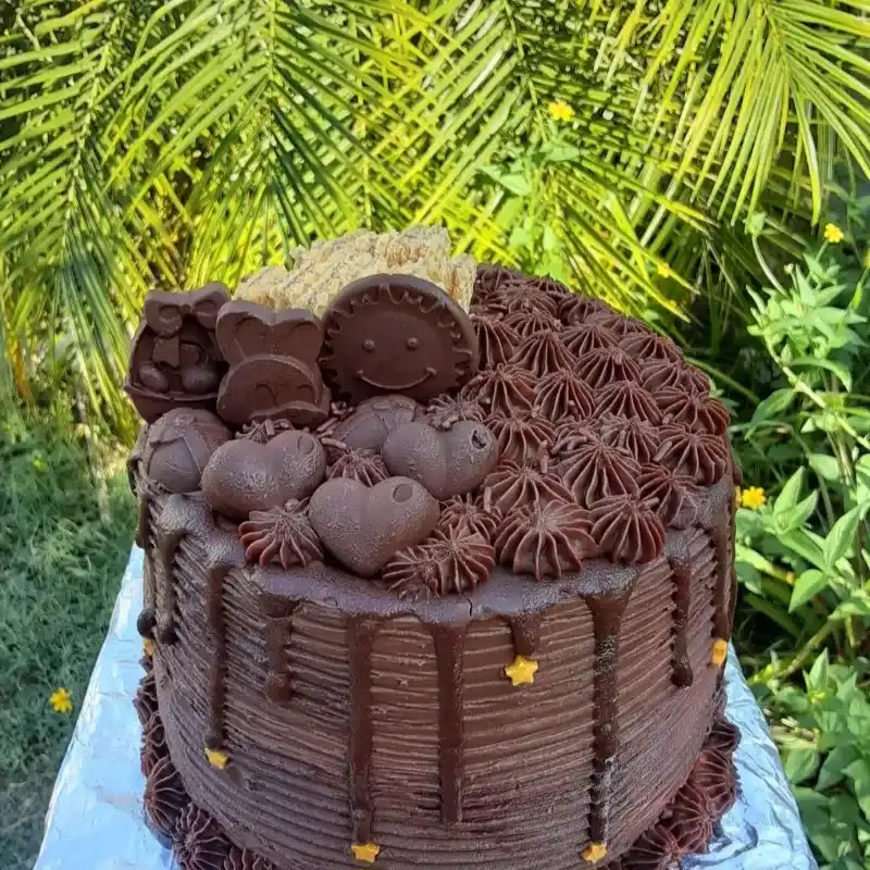Minicake de Ganache de chocolate 