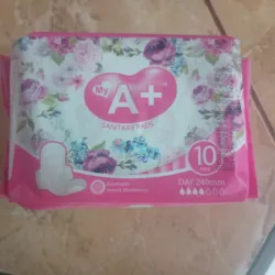 Almohadillas sanitarias 10u