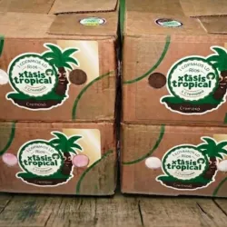 Helado Éxtasis tropical