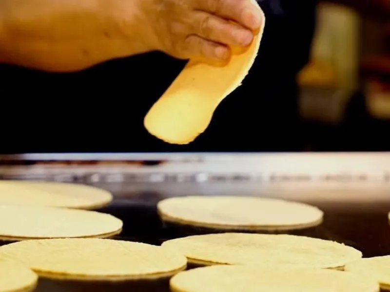 Tortillas para tacos y burritos 