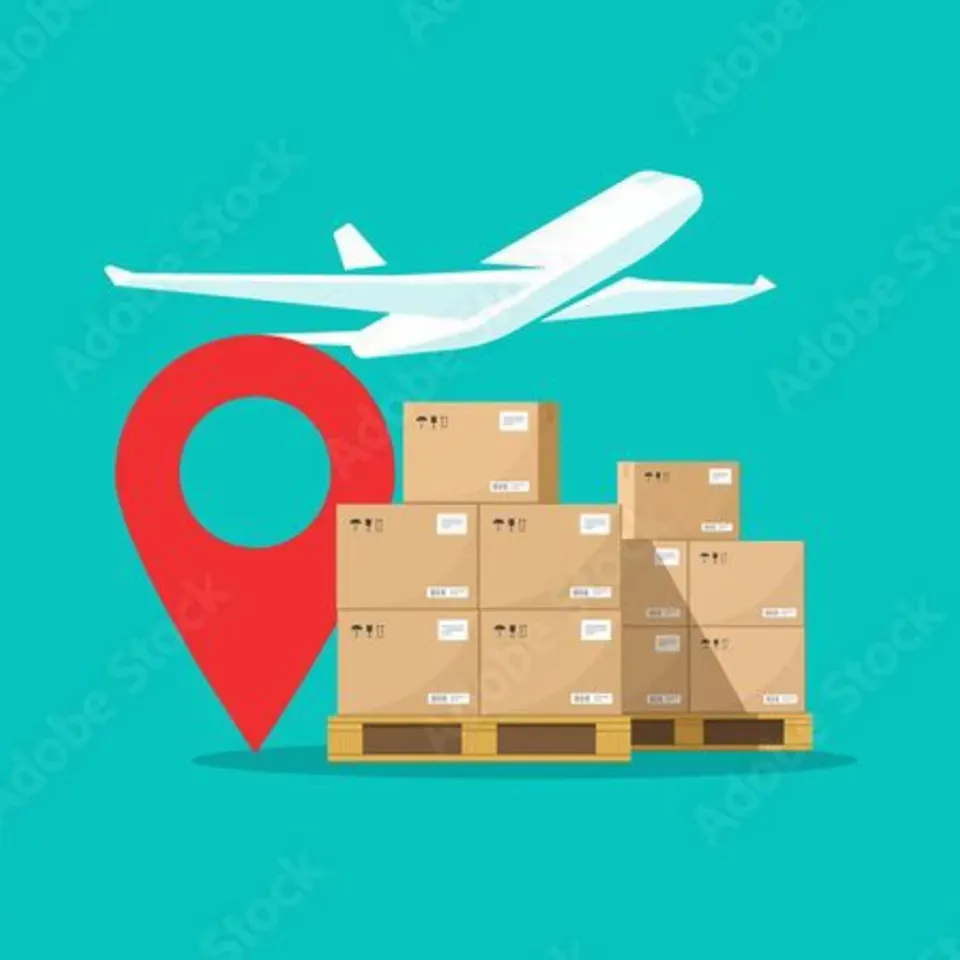 Servicio de Importación 