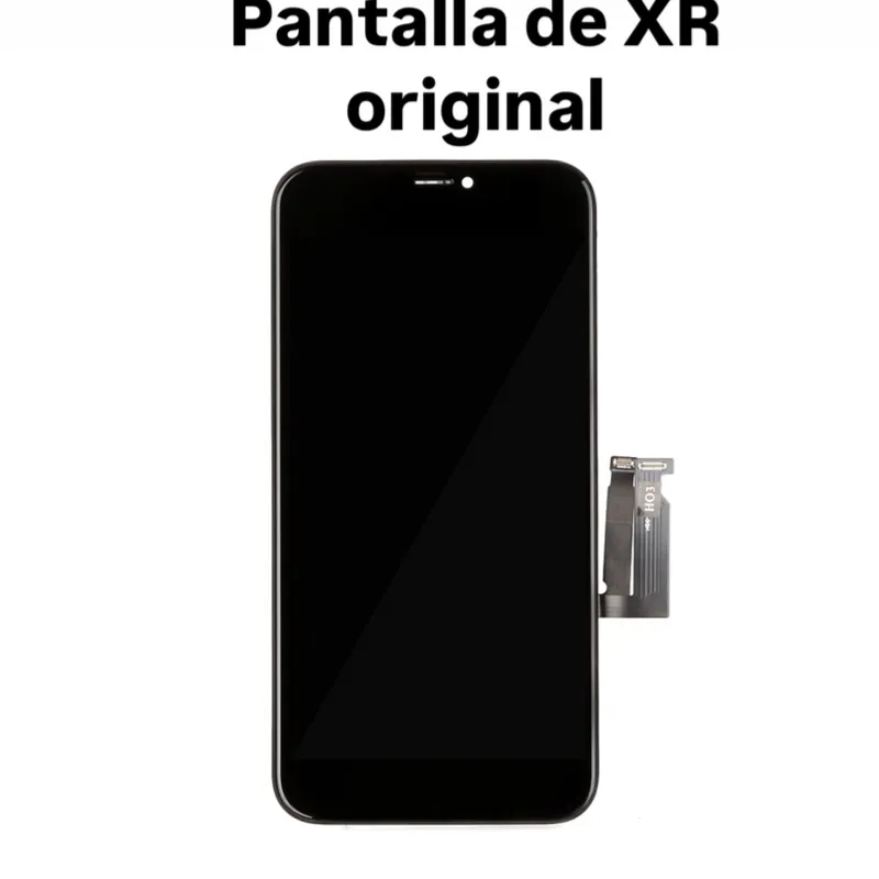 PANTALLA DE  XR ORG