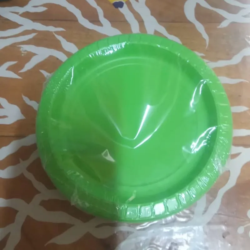 Plato desechable 17 cm