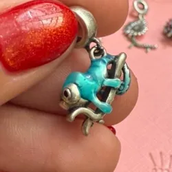 Charm Camaleón 3
