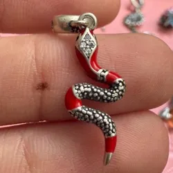 Charm Serpiente Roja 🐍