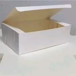 Cajitas + cubiertos (20 unidades)