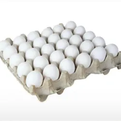 Huevos