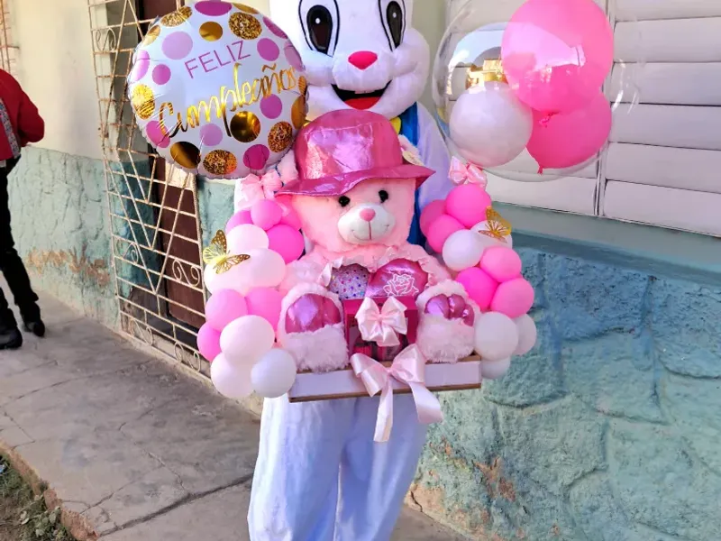 Bandeja con peluches 