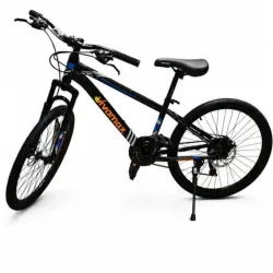 Bicicleta 24