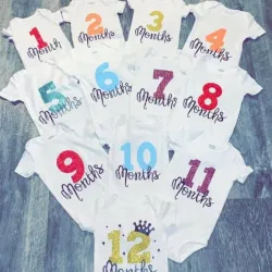Set de monos para los meses