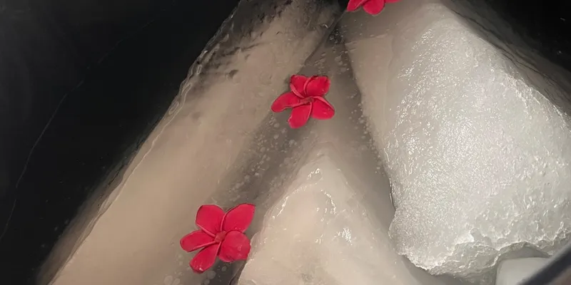 Experiencia de Inmersión en hielo